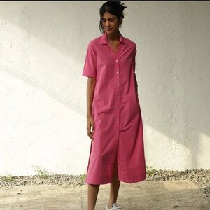 Chocolate Pink Collared Shirt